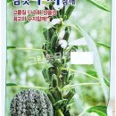 진농바이오 네이버블로그