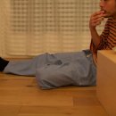 이이엘(EEL) 이미지