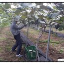 비금농장 이미지