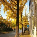 오륜동주민센터 이미지