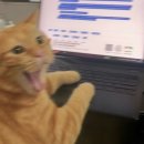 맥시칸치킨 오투그란데점 | [12월 월간일기] 엔딩은 마치 승리한 것처럼