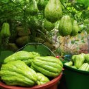 담비농장 이미지