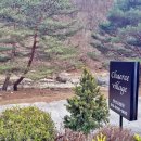 채리 빌리지 이미지