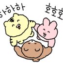 럭키정육점 이미지