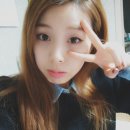 레코