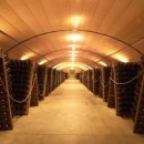 최일규정형외과의원 이미지