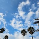 스탠포드호텔앤리조트 제주 이미지