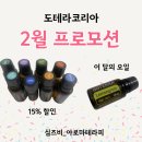 티엠코리아 | [공지] 도테라코리아 2월 프로모션 안내