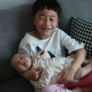 열매열무2 이미지