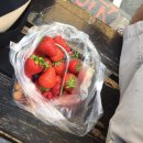 하벨마켓(HAVEL MARKET)