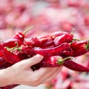 평택-220V 이미지