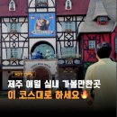 썬하우스 | 제주도 애월 실내 가볼만한곳 테디베어하우스 근처 맛집까지