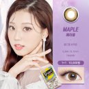 메이플안경원 이미지