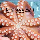365수산 - 완도군 해변공원로 107 | 365수산