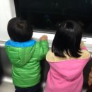 밀레오레 안경점 이미지