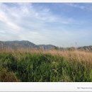 하빈지구 체육시설 이미지