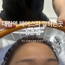 청춘랩 | 영등포 대림 두피케어 청춘랩 헤드스파 후기