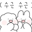 수피아C동