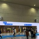 울리빙디자인페어 2026 관람 후기 인테리어 트렌드 총정리