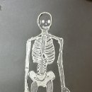 둔산플래뮤미술학원