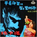 사랑손 이미지