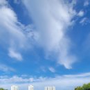 들꽃약국 이미지