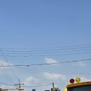 용인대 대호 태권도 이미지