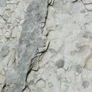 진주 유수리 백악기 화석산지 이미지