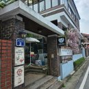 청주고양이입양지원센터 애니멀공화국 | 동네한바퀴 청주 60마리 고양이 카페 보호소 유기묘 천국 애니멀공화국