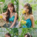 아틀란티스엔터테인먼트 이미지