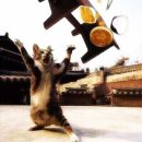 (주)덕평주유소 이미지