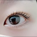 HJ속눈썹