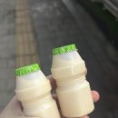 록갈비꿈의숲점 | [북서울꿈의숲맛집] 록갈비-장위동 육즙대폭발 쪽갈비 맛집 양념 매운맛 다 맛있음주의 내돈내산