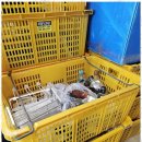 아리울익스프레스 이미지