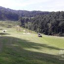 샴발라 컨트리클럽 네이버블로그