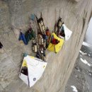 용구니아지트 이미지