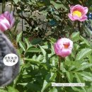 성림농장 이미지