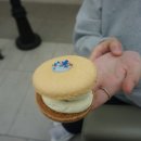 마카롱하우스 이미지