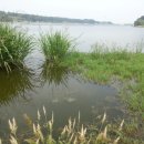 용풍낚시터 이미지