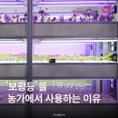 보광전기조명