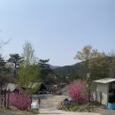 광릉숲 이야기 캠핑장 이미지