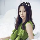 키쿠 이미지