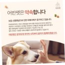 광주 강아지분양 고양이분양 어반펫 광주본점 이미지