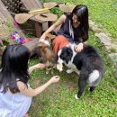 트리하우스민박 이미지