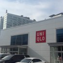 수원-1471 | 수원 영통 유니클로 피크닉 위크 할인 후기 세일 기간 추천 템 총정리 모바일 상품권