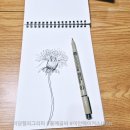 어반스케치&펜드로잉 | ​[어반스케치] 펜드로잉 서툰 선 하나가 꽃이 되기까지 : 민들레 일러스트. 드로잉 테라피