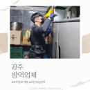 파란하늘방역