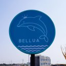 제주 서귀포 벨루아 이미지