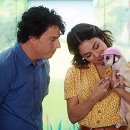 해피댕댕이 이미지