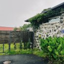 히든래빗 이미지